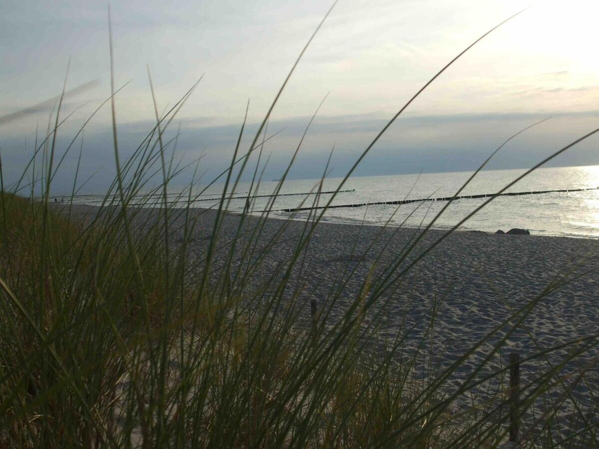 Discovair Graal Mueritz -Haus Quisisana- Strandnah Mit Netflix Rum bild
