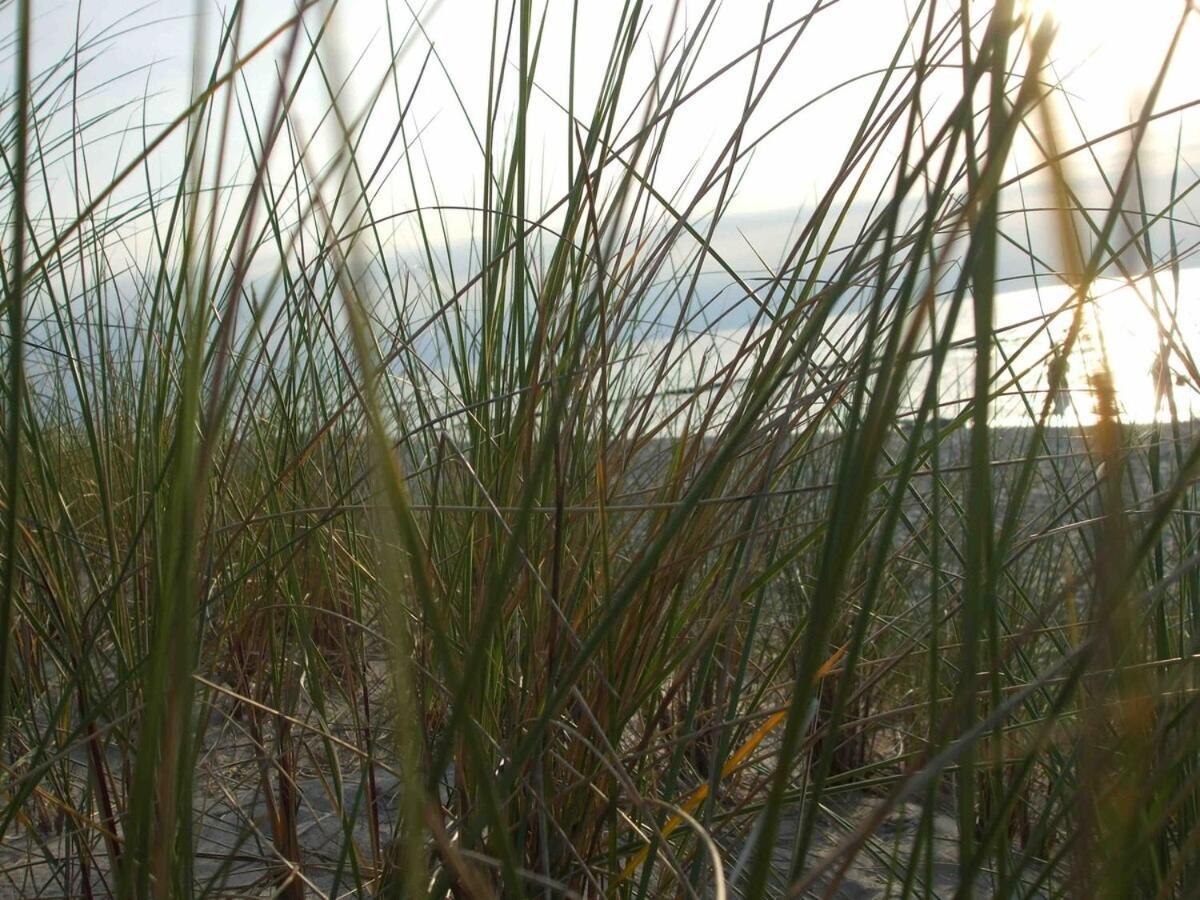 Discovair Graal Mueritz -Haus Quisisana- Strandnah Mit Netflix Rum bild